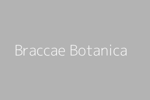 Group picture of Braccae Botanica